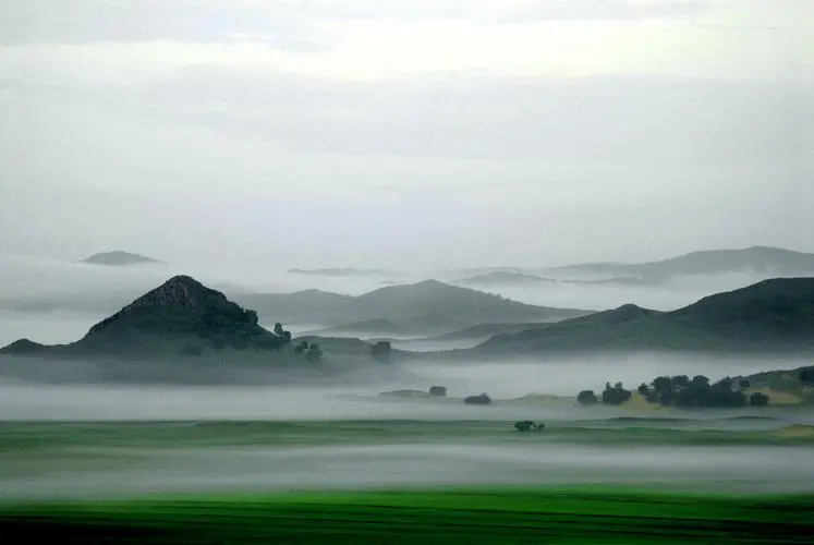 高标准高标准工业